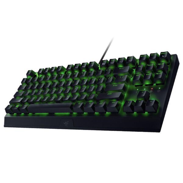 کیبورد گیمینگ Razer Blackwidow X Tenkeyless (Green Switch)